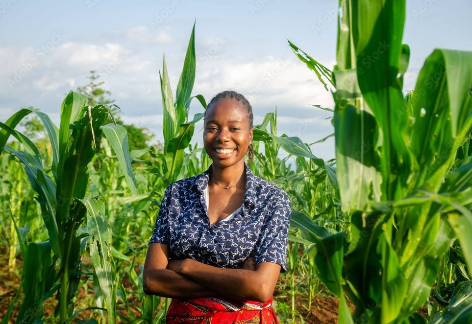 A farmer in a Key-Cert certified supply chain inspecting produce in the field